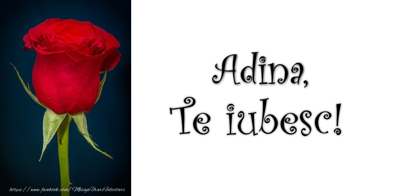 Felicitari de dragoste - Trandafiri | Adina Te iubesc!