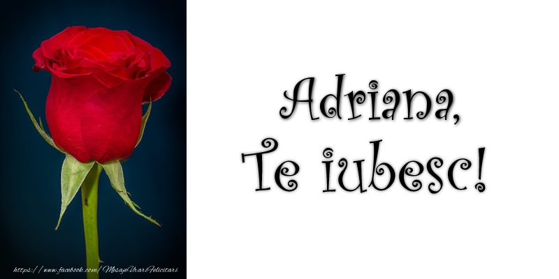 Felicitari de dragoste - Trandafiri | Adriana Te iubesc!