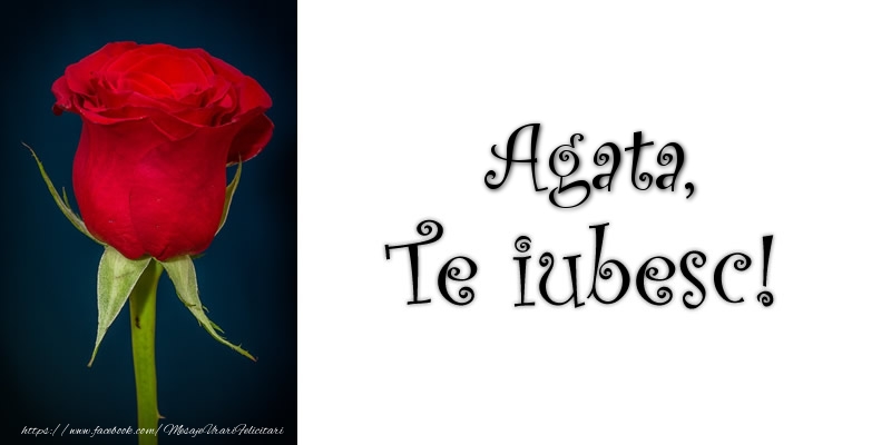 Felicitari de dragoste - Trandafiri | Agata Te iubesc!