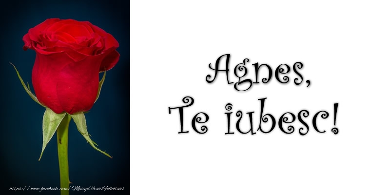 Felicitari de dragoste - Trandafiri | Agnes Te iubesc!
