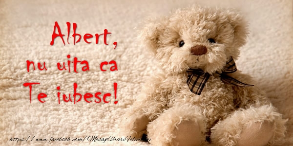Felicitari de dragoste - Ursuleti | Albert nu uita ca Te iubesc!