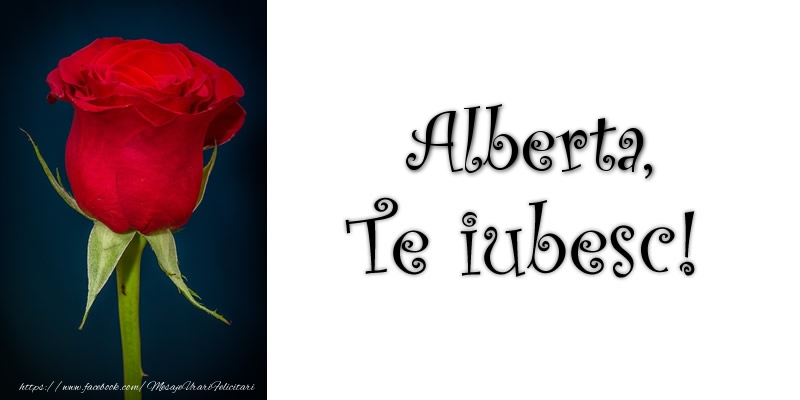 Felicitari de dragoste - Trandafiri | Alberta Te iubesc!