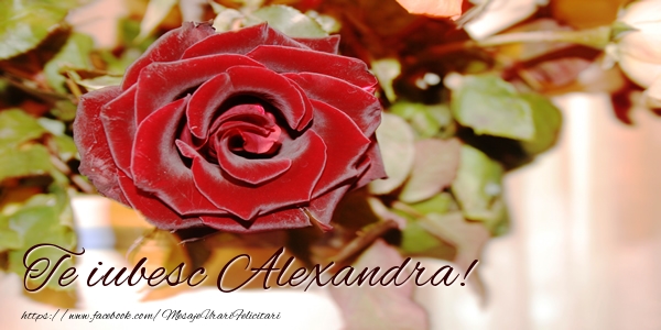 Felicitari de dragoste - Trandafiri | Te iubesc Alexandra!