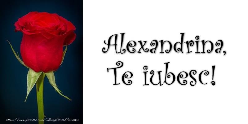 Felicitari de dragoste - Trandafiri | Alexandrina Te iubesc!