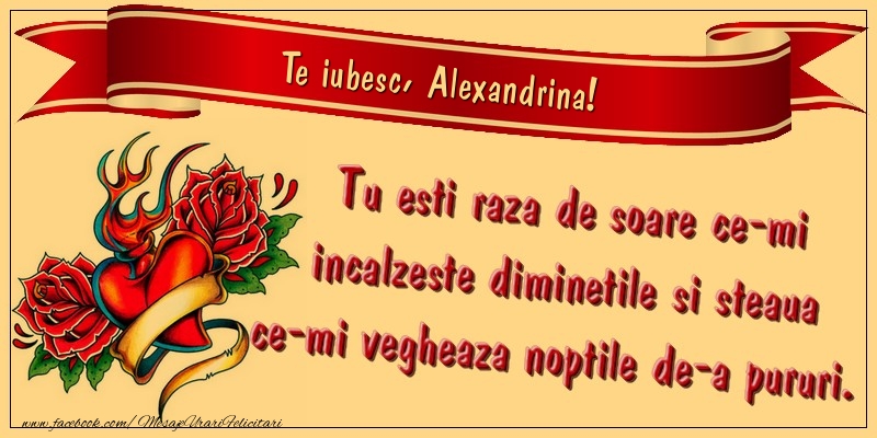 Felicitari de dragoste - Te iubesc, Alexandrina. Tu esti raza de soare ce-mi incalzeste diminetile si steaua ce-mi vegheaza noptile de-a pururi.