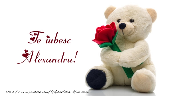 Felicitari de dragoste - Ursuleti | Te iubesc Alexandru!
