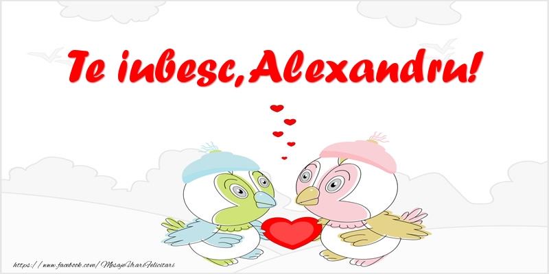 Felicitari de dragoste - Haioase | Te iubesc, Alexandru!