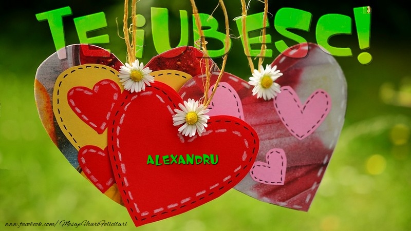 Felicitari de dragoste - ❤️❤️❤️ Inimioare | Te iubesc, Alexandru!