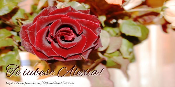Felicitari de dragoste - Trandafiri | Te iubesc Alexia!