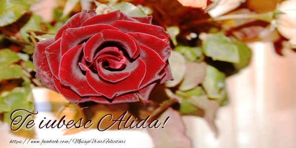 Felicitari de dragoste - Trandafiri | Te iubesc Alida!