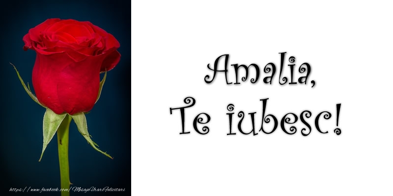 Felicitari de dragoste - Trandafiri | Amalia Te iubesc!
