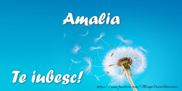Felicitari de dragoste - Flori | Amalia Te iubesc!
