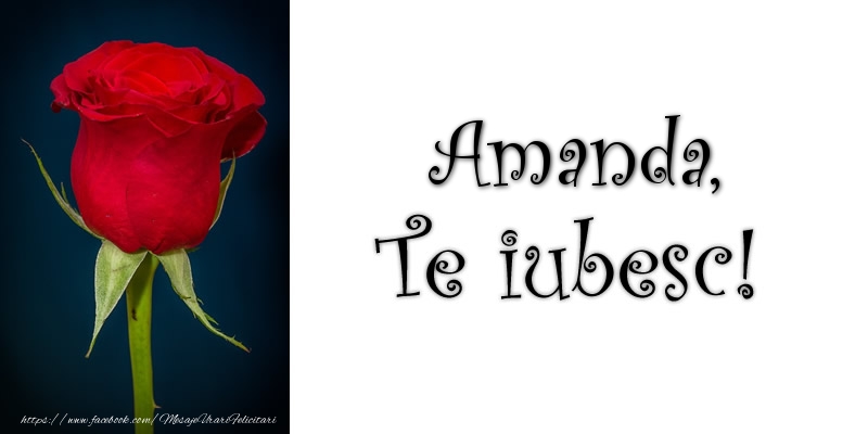 Felicitari de dragoste - Trandafiri | Amanda Te iubesc!