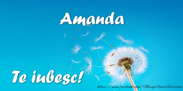 Felicitari de dragoste - Flori | Amanda Te iubesc!