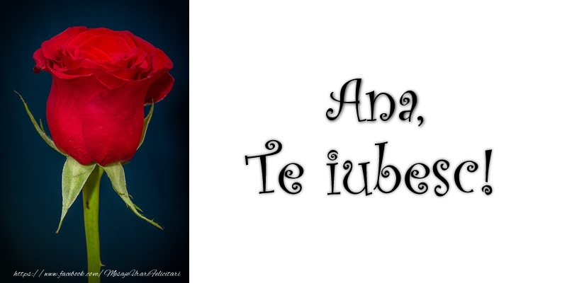 Felicitari de dragoste - Trandafiri | Ana Te iubesc!