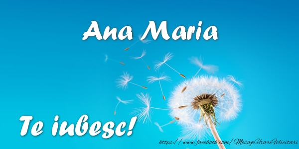 Felicitari de dragoste - Ana Maria Te iubesc!