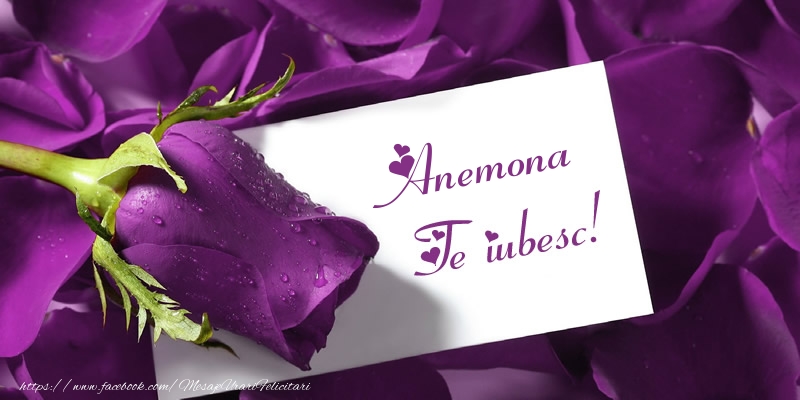 Felicitari de dragoste - Anemona Te iubesc!