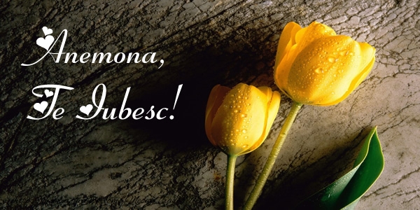 Felicitari de dragoste - Anemona, Te iubesc!