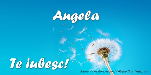 Felicitari de dragoste - Flori | Angela Te iubesc!