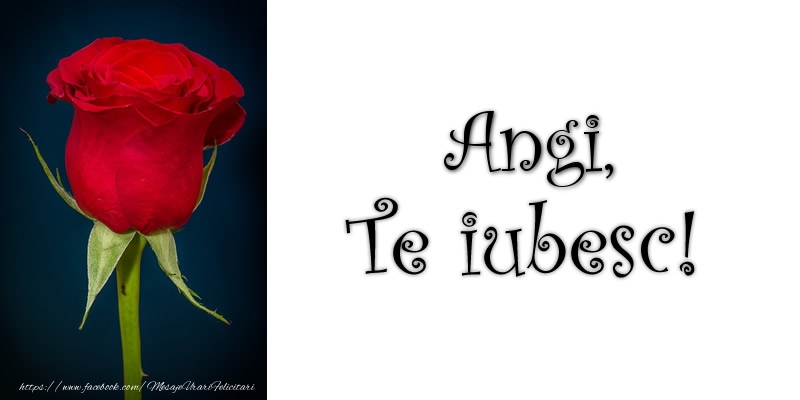 Felicitari de dragoste - Trandafiri | Angi Te iubesc!