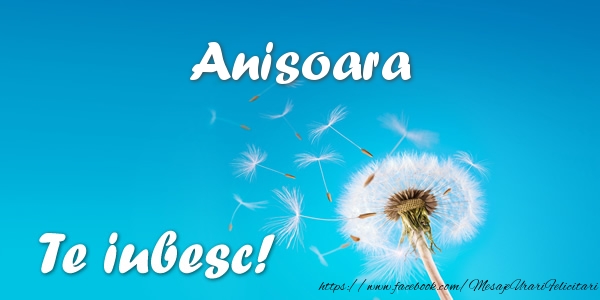 Felicitari de dragoste - Flori | Anisoara Te iubesc!