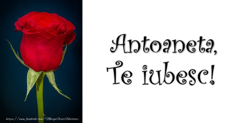 Felicitari de dragoste - Trandafiri | Antoaneta Te iubesc!