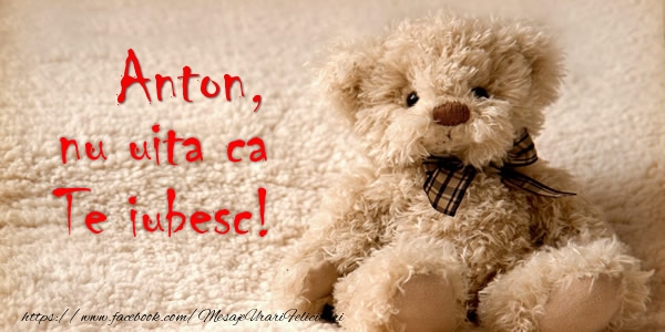 Felicitari de dragoste - Ursuleti | Anton nu uita ca Te iubesc!