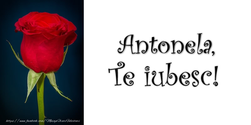 Felicitari de dragoste - Trandafiri | Antonela Te iubesc!