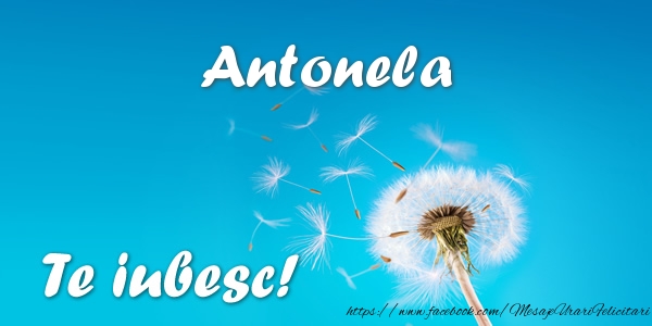  Felicitari de dragoste - Flori | Antonela Te iubesc!