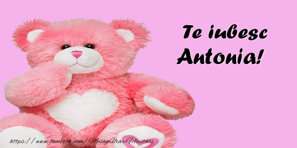 Felicitari de dragoste - Ursuleti | Te iubesc Antonia!