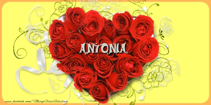 te iubesc antonia Antonia