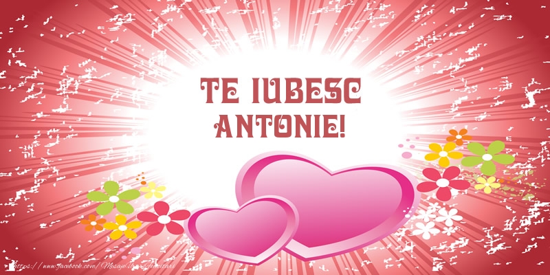 Felicitari de dragoste - ❤️❤️❤️ Inimioare | Te iubesc Antonie!