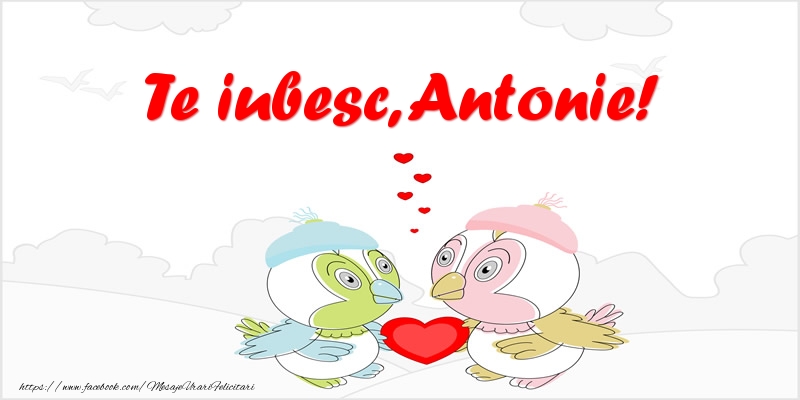 Felicitari de dragoste - Haioase | Te iubesc, Antonie!
