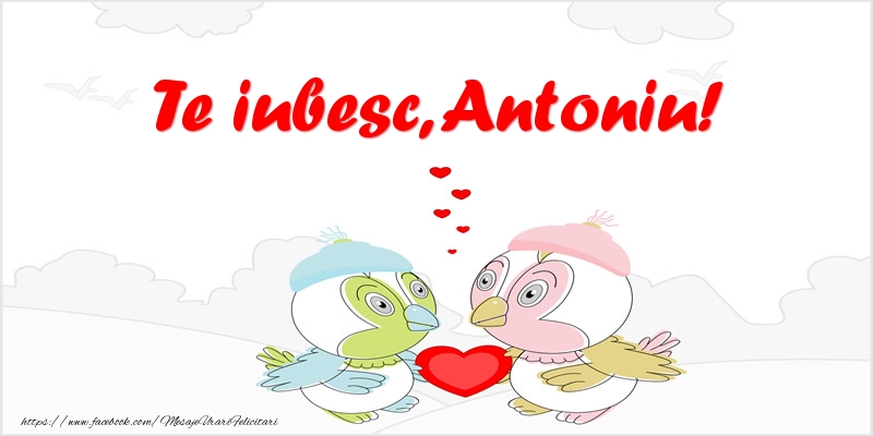 Felicitari de dragoste - Haioase | Te iubesc, Antoniu!