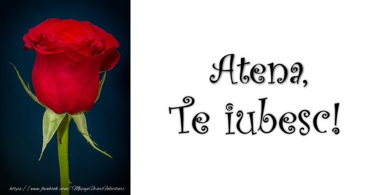 Felicitari de dragoste - Trandafiri | Atena Te iubesc!