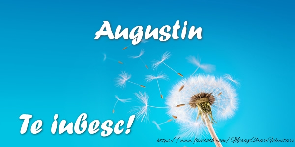 Felicitari de dragoste - Flori | Augustin Te iubesc!