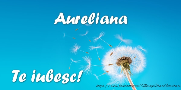 Felicitari de dragoste - Aureliana Te iubesc!