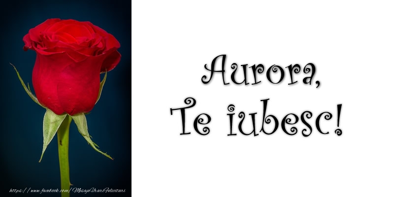 Felicitari de dragoste - Trandafiri | Aurora Te iubesc!