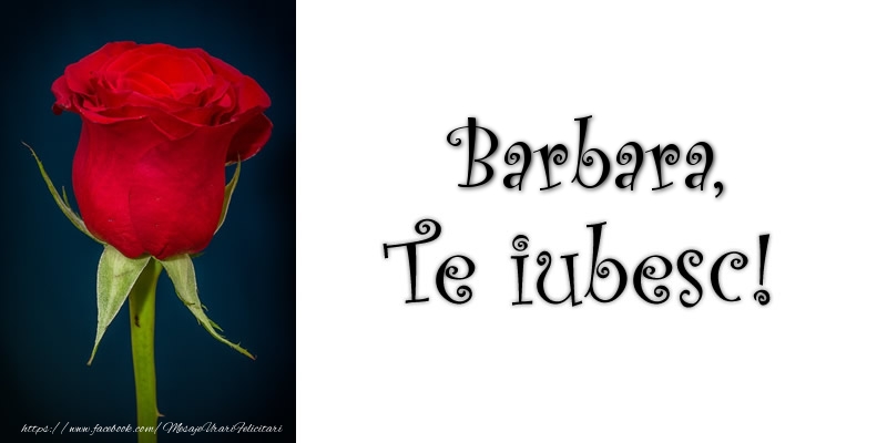 Felicitari de dragoste - Trandafiri | Barbara Te iubesc!