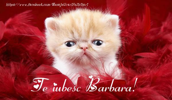 Felicitari de dragoste - Haioase | Te iubesc Barbara!