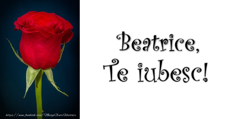 Felicitari de dragoste - Trandafiri | Beatrice Te iubesc!
