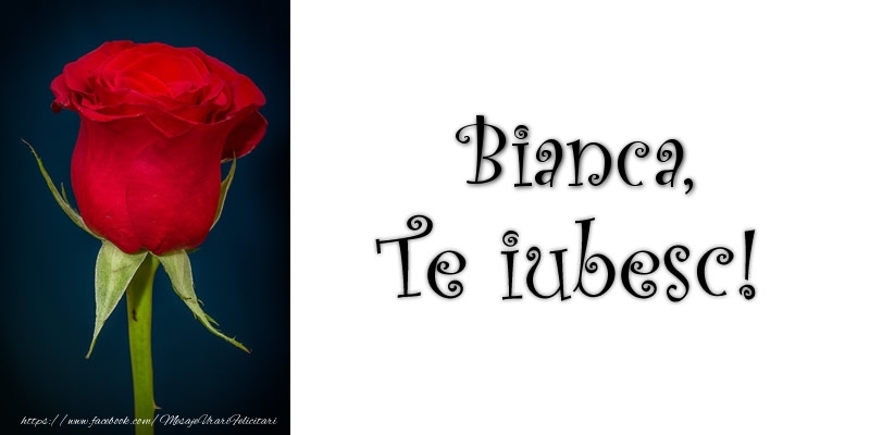 Felicitari de dragoste - Trandafiri | Bianca Te iubesc!