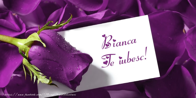 Felicitari de dragoste - Bianca Te iubesc!