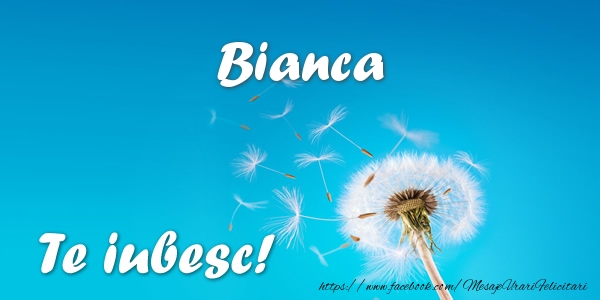 Felicitari de dragoste - Flori | Bianca Te iubesc!
