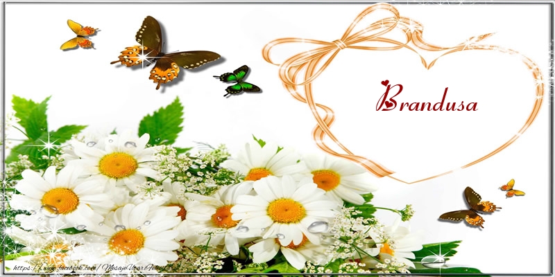 Felicitari de dragoste - Flori | I love you Brandusa!
