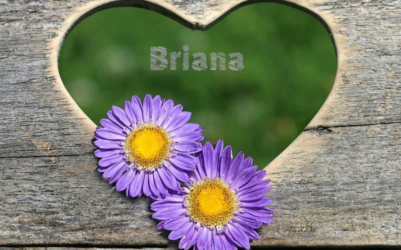 Felicitari de dragoste - Briana