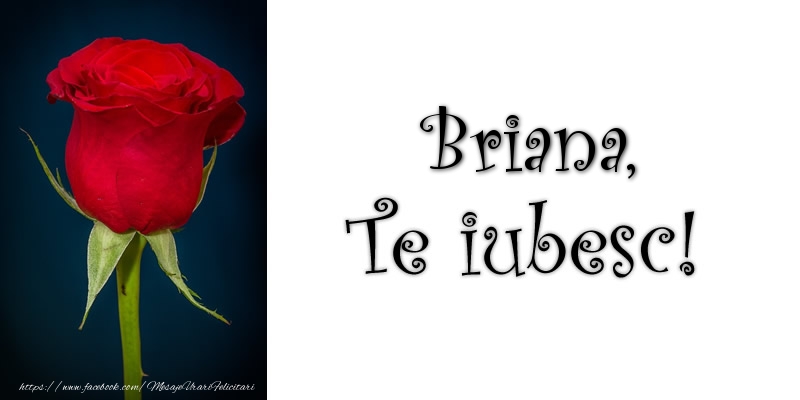Felicitari de dragoste - Trandafiri | Briana Te iubesc!