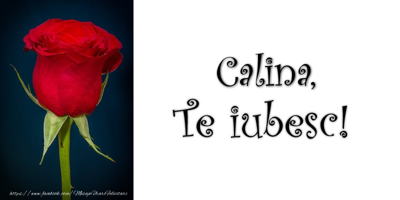 Felicitari de dragoste - Trandafiri | Calina Te iubesc!