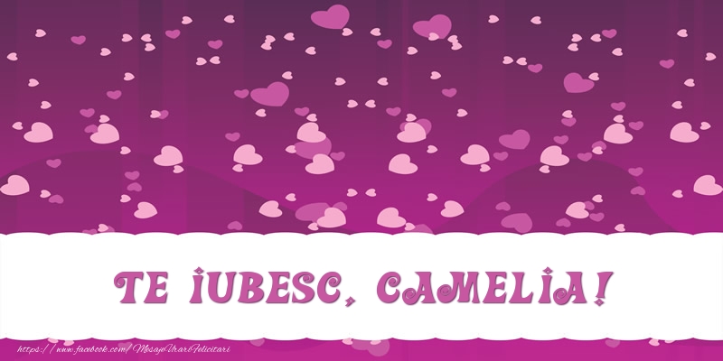 Felicitari de dragoste - ❤️❤️❤️ Inimioare | Te iubesc, Camelia!