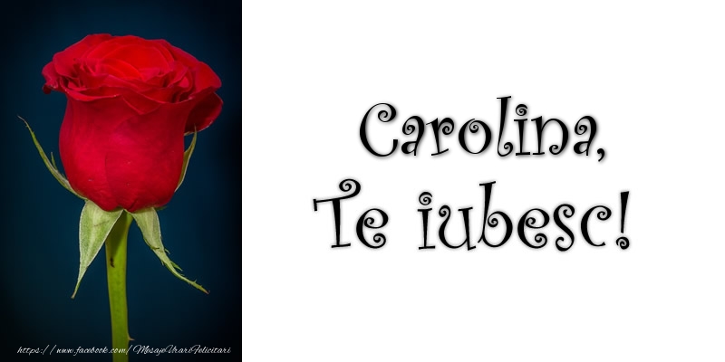 Felicitari de dragoste - Trandafiri | Carolina Te iubesc!